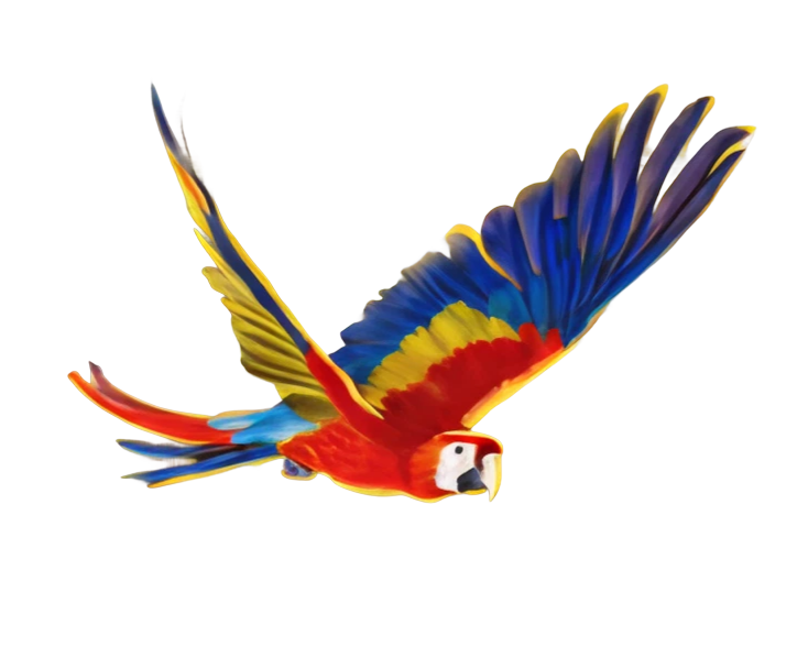 decoration-image on left of tiger