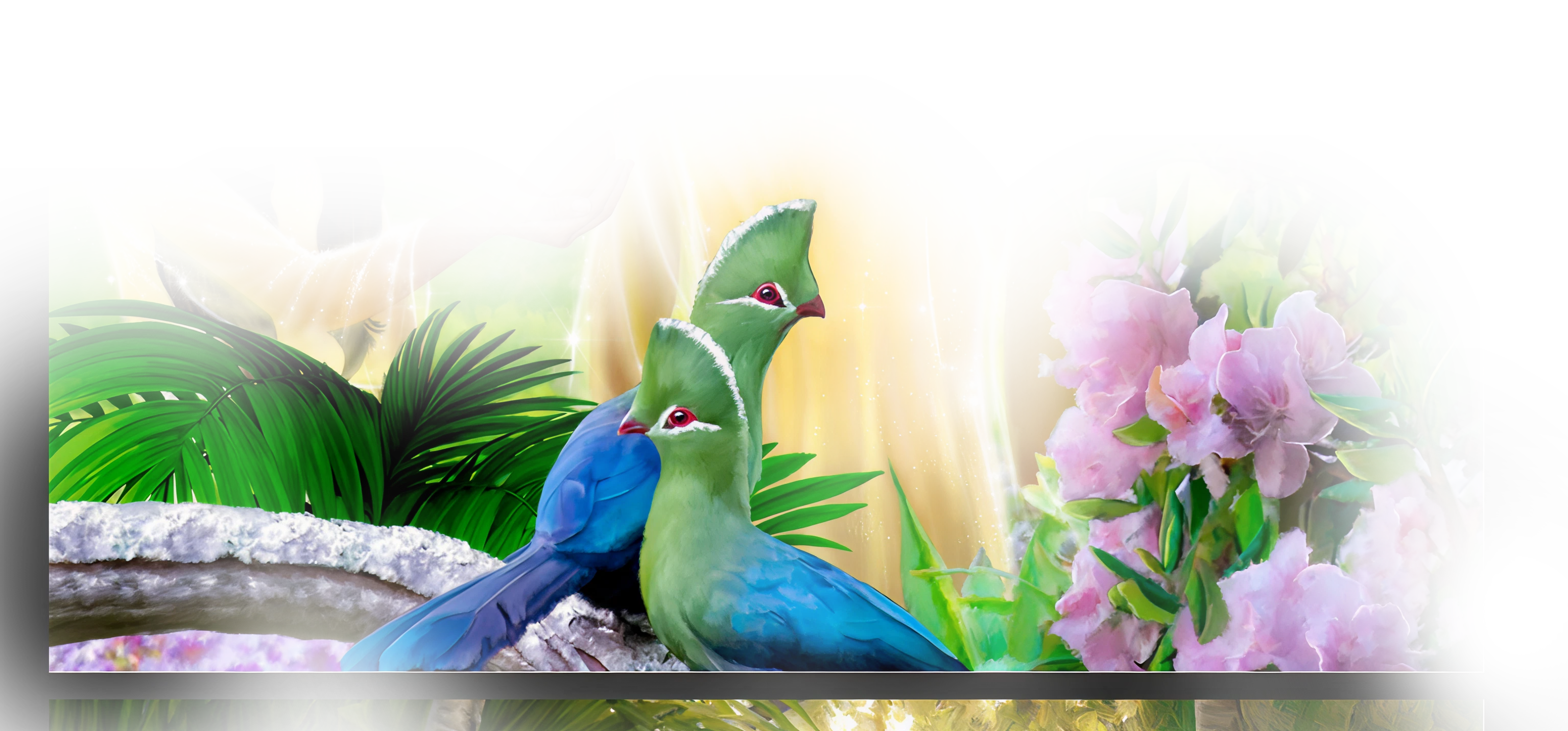 decoration-image on bottom